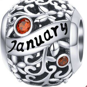 925 Stering Silver Charm Janurary